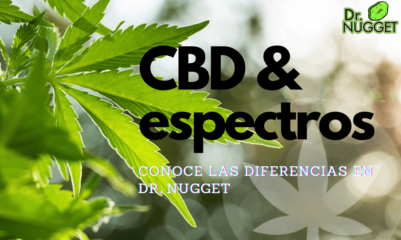 CUÁL ES LA DIFERENCIA ENTRE ¿ESPECTRO COMPLETO, ESPECTRO AMPLIO Y CBD AISLADO?